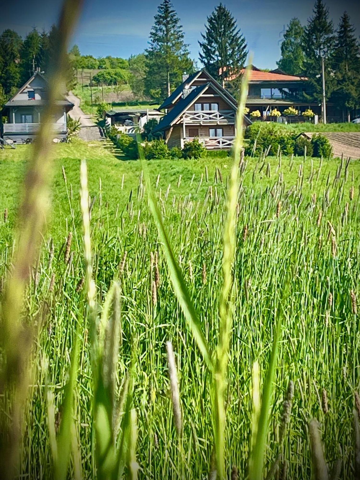 Domki Caloroczne Domkowstwo Bobrka Exterior foto